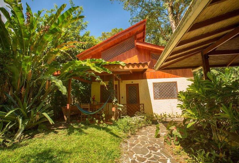 בית מלון כפרי Casa Merlin