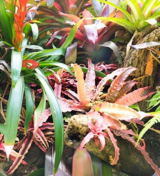 בית מלון כפרי Casa Merlin