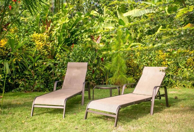 בית מלון כפרי Casa Merlin