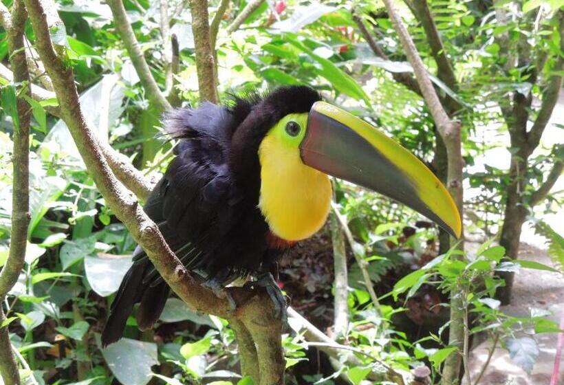 Отель Casitas Las Flores