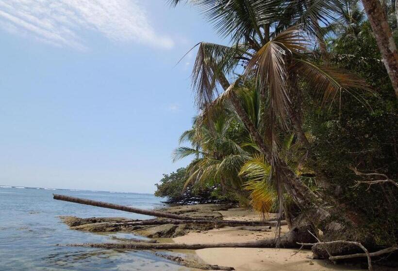 Отель Casitas Las Flores