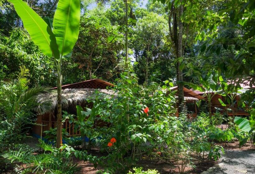 Отель Casitas Las Flores