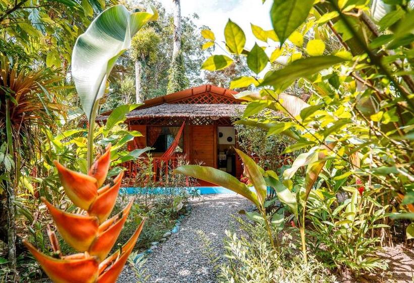 Отель Casitas Las Flores