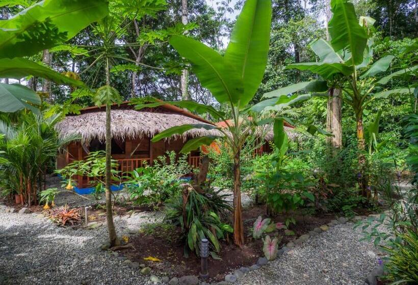 Отель Casitas Las Flores