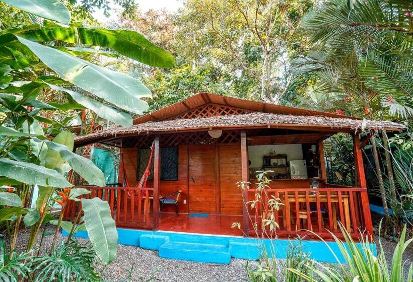 Отель Casitas Las Flores