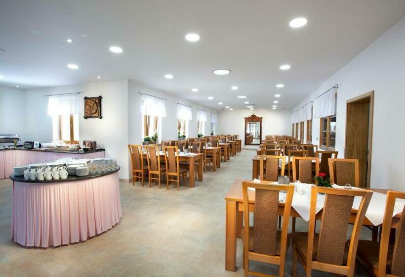 בית מלון כפרי Celnice