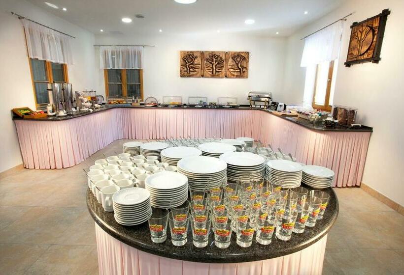 בית מלון כפרי Celnice