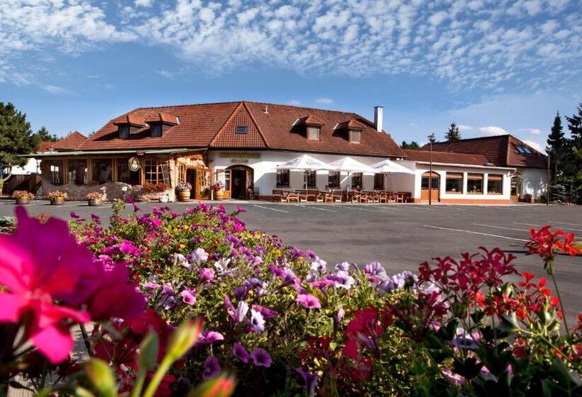 בית מלון כפרי Celnice