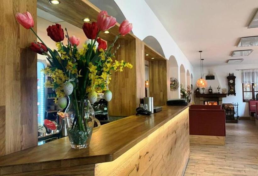 בית מלון כפרי Celnice