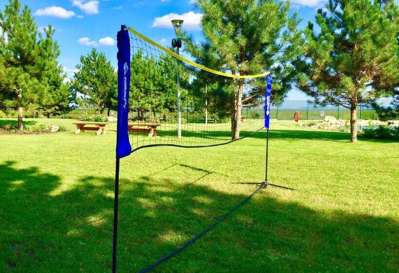 בית מלון כפרי Celnice