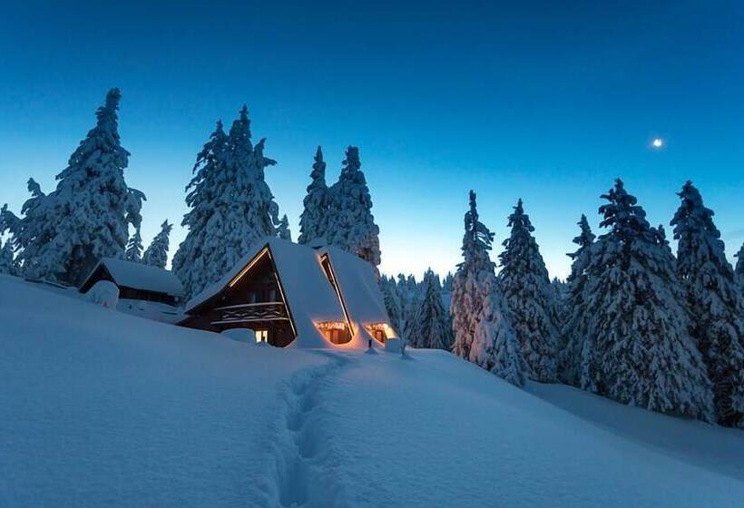 هتل Chalet Alpinka