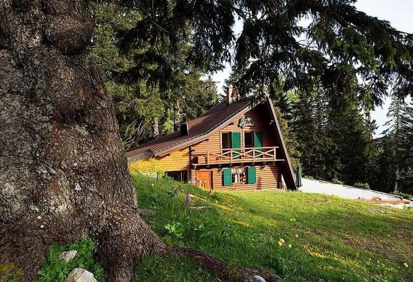هتل Chalet Alpinka