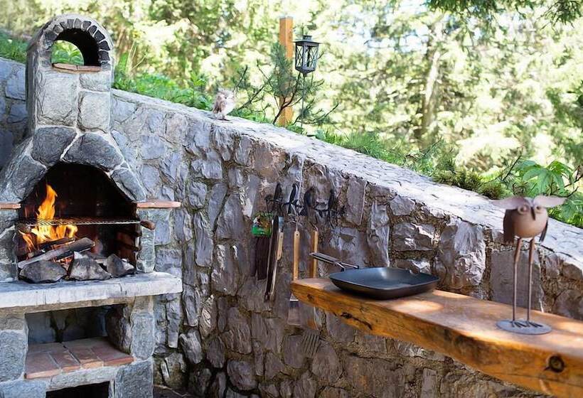 هتل Chalet Alpinka