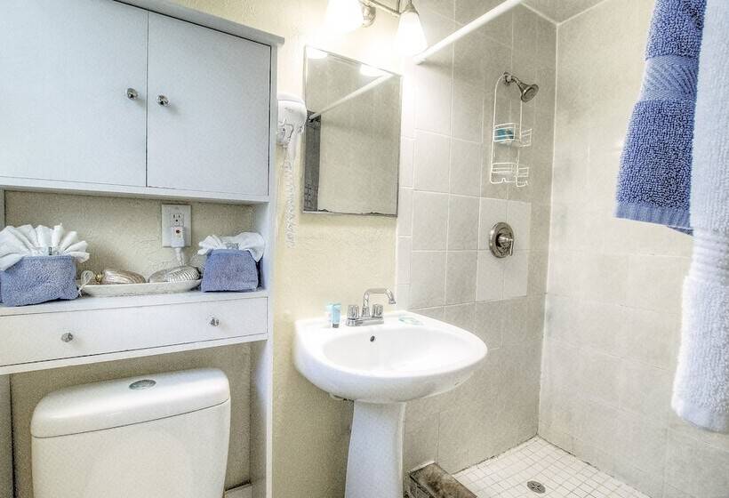 فندق Daytona Shores Inn And Suites