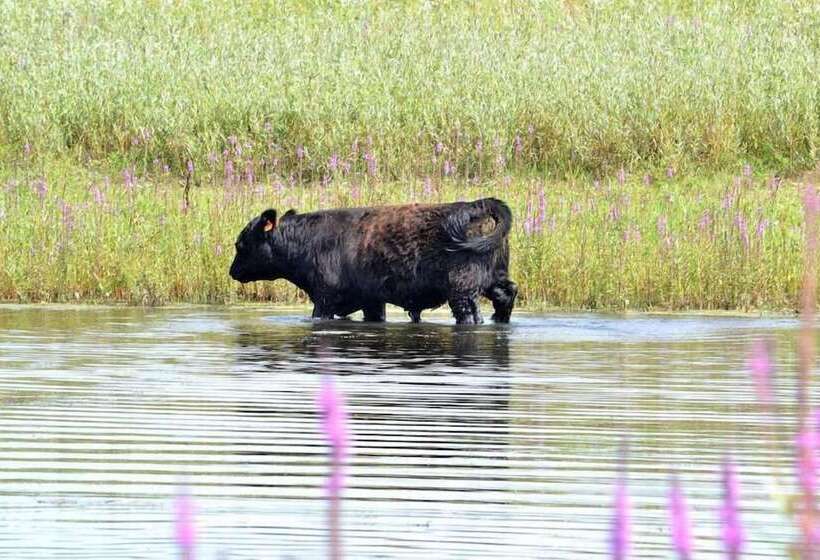 ホテル De Maretak