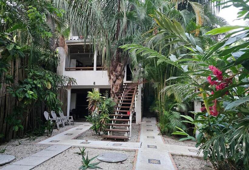 Dreamcatcher Hotel   Atrapasueños