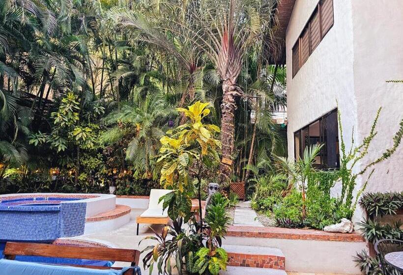 Dreamcatcher Hotel   Atrapasueños