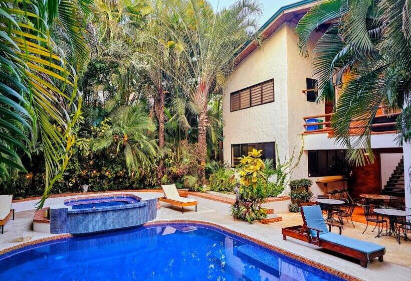 Dreamcatcher Hotel   Atrapasueños