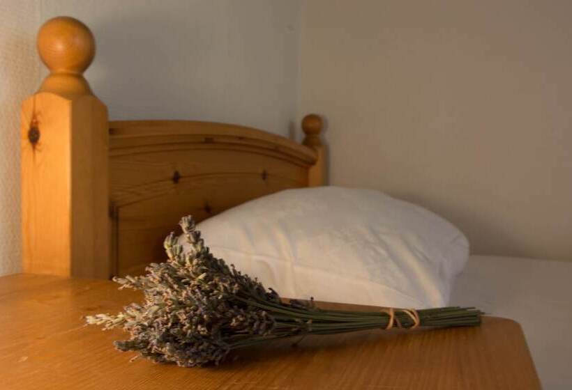 هتل Ducky’s Restaurant | Events |