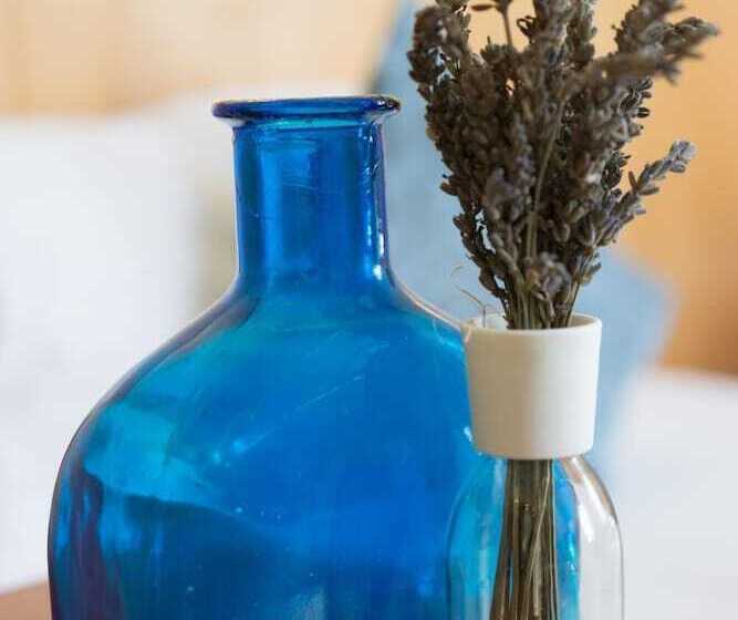 هتل Ducky’s Restaurant | Events |