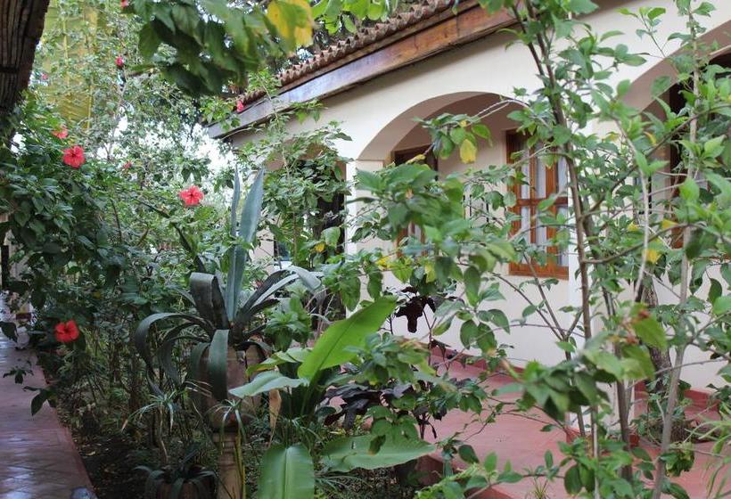 Отель El Cardhu Del Mar