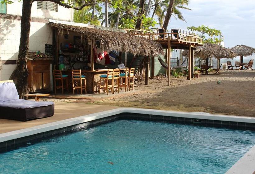 Отель El Cardhu Del Mar