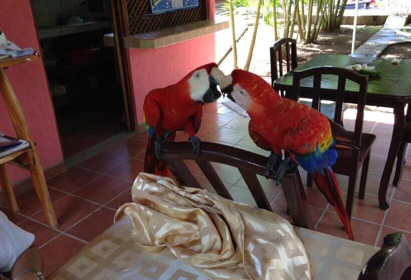 ホテル El Paraiso Escondido   Costa Rica