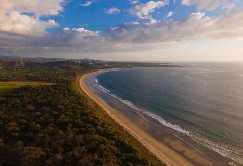 酒店 El Reinas By Sugar S Monkey