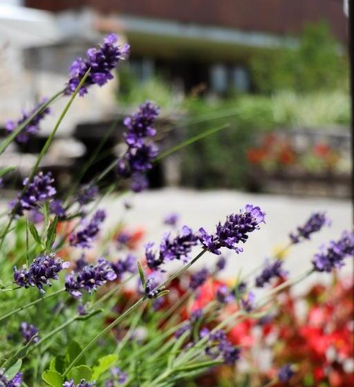 בית מלון כפרי Green Garden Plitvice Lakes