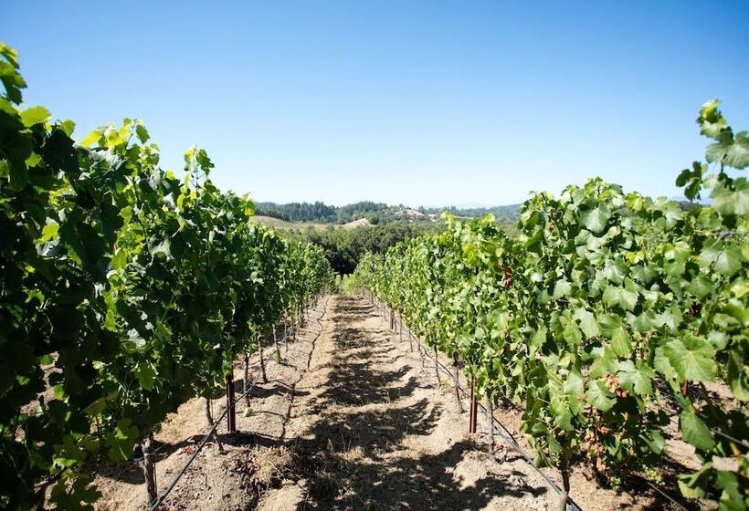 酒店 Farmhouse Inn