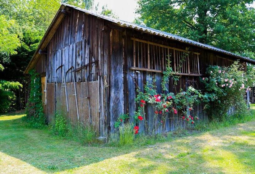 酒店 Gasthaus & Pension Am Kurfürstendamm