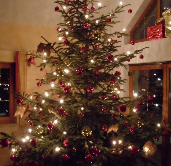 酒店 Gasthof Adler