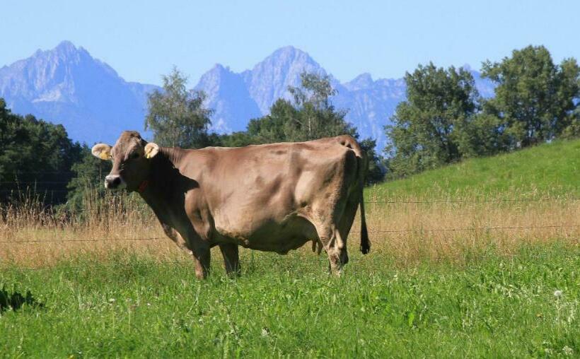 酒店 Gasthof Lamprecht