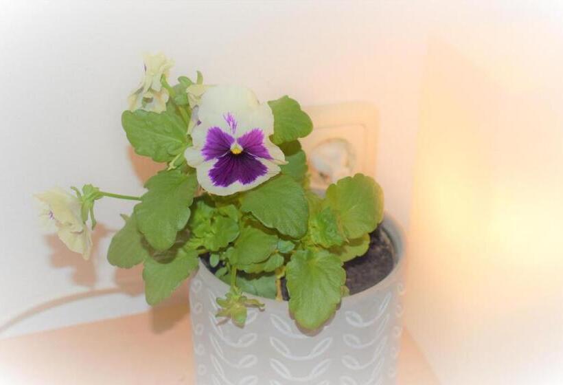 فندق Gasthof Lamprecht