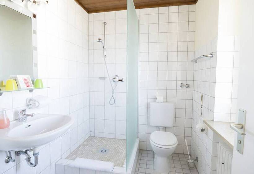 Отель Gasthof Rose