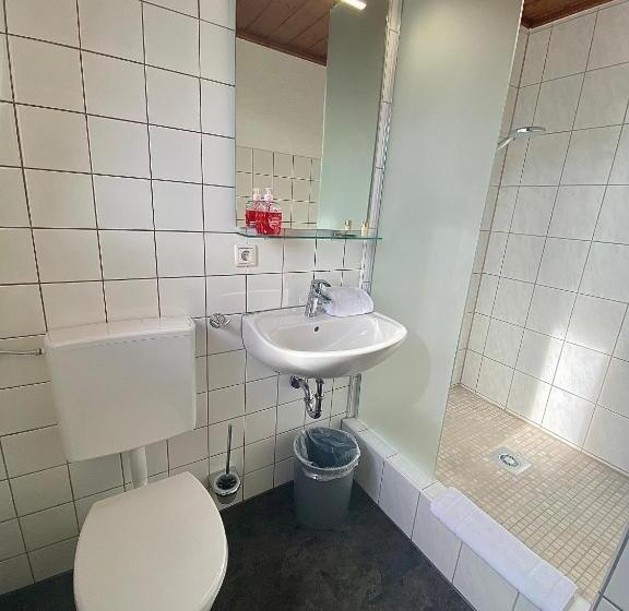 Отель Gasthof Rose