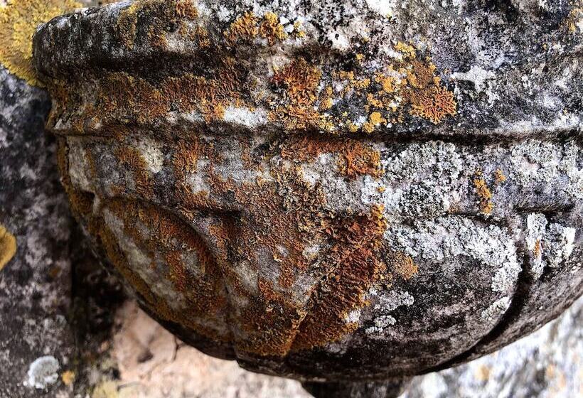 호텔 Guest House Dijana