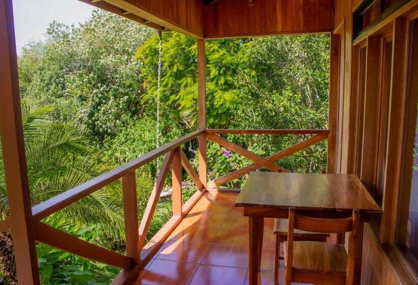 Отель Holístico Monteverde