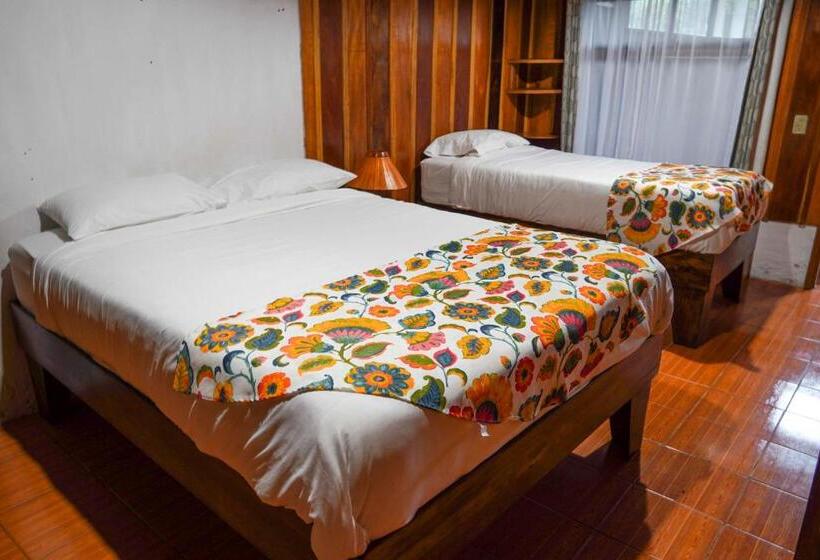 Отель Holístico Monteverde