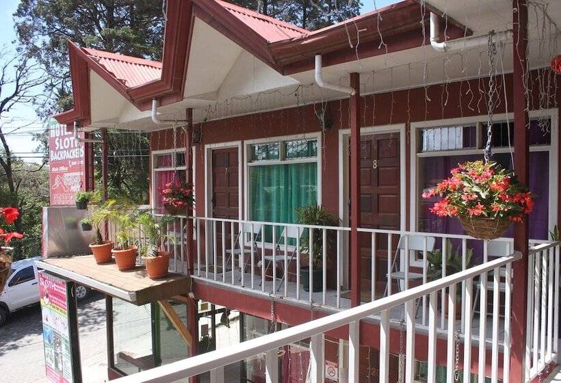 فندق & Hostel Sloth Backpackers