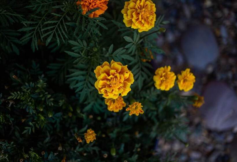 فندق Kokopelli Inn