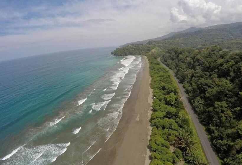 Kura Boutique Hotel Member Of The Cayuga Collection