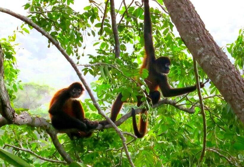 فندق Lagunavista Villas