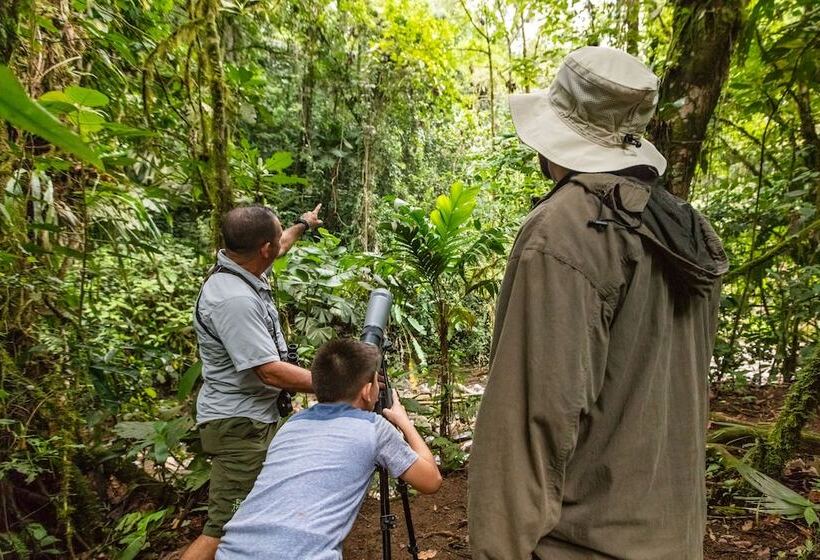 호텔 Lost Iguana Resort And Spa