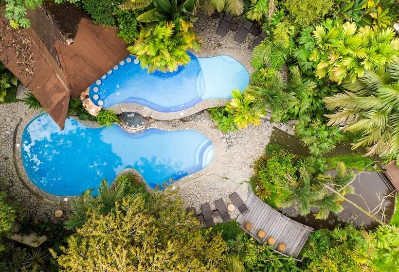 호텔 Lost Iguana Resort And Spa