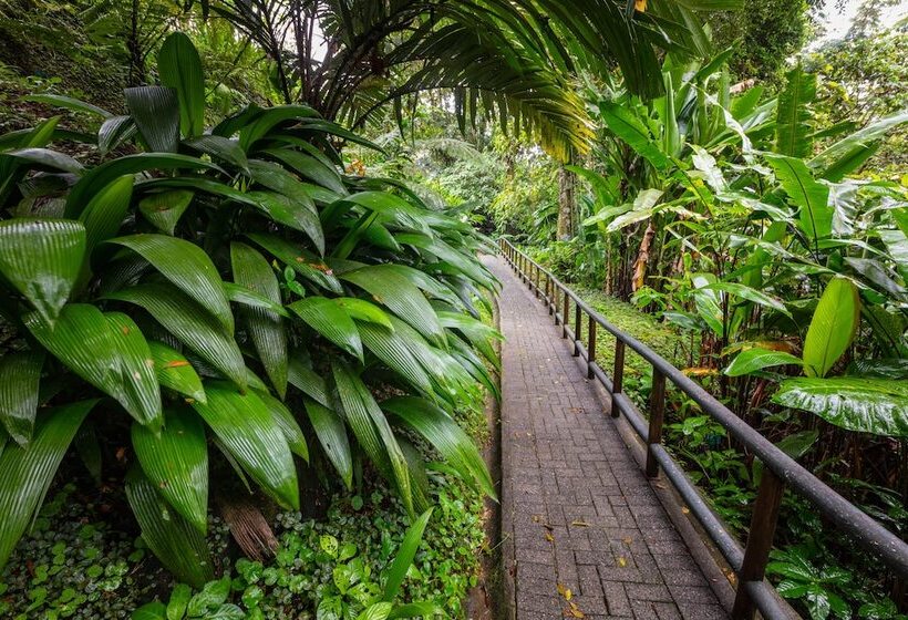 호텔 Lost Iguana Resort And Spa