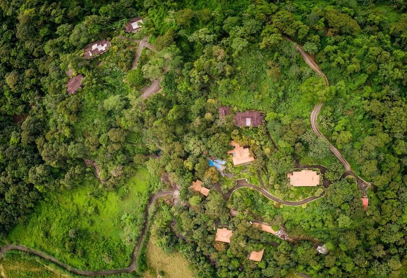 호텔 Lost Iguana Resort And Spa