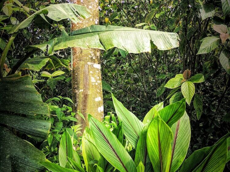 فندق Lost Iguana Resort And Spa