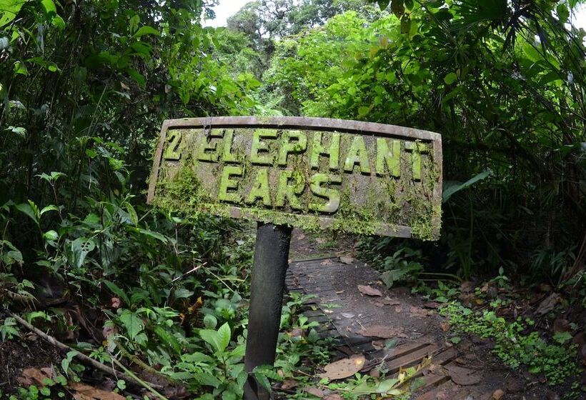 호텔 Lost Iguana Resort And Spa