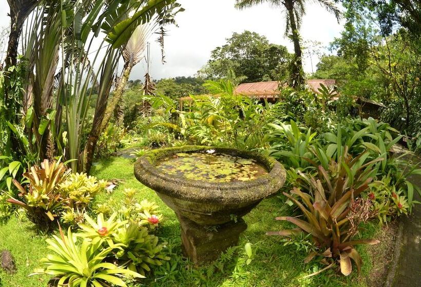 فندق Lost Iguana Resort And Spa